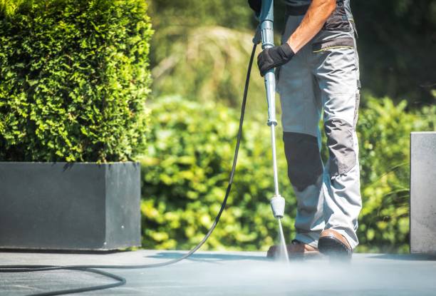 Best Deck and Patio Pressure Washing in Crane, MO