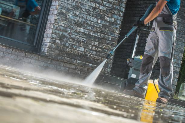 Best Gutter Cleaning and Brightening in Crane, MO
