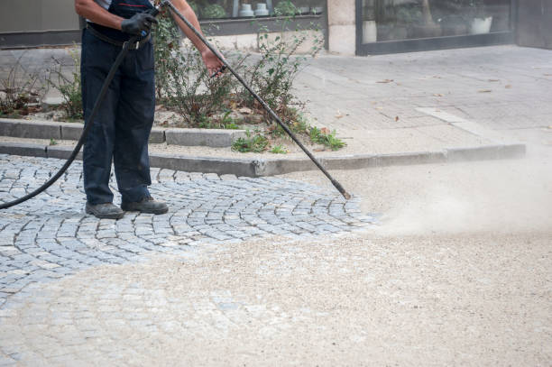 Best Graffiti Removal Services in Crane, MO